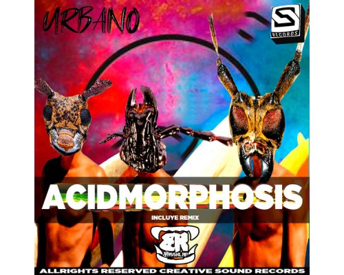 -Urbano-, BASSKLAP - Acidmorphosis