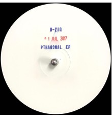 µ-Ziq - Pthagonal EP