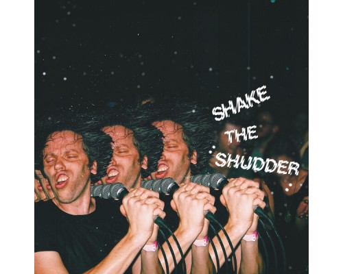 !!! - Shake The Shudder