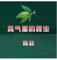 陈劲 - 雾气里的昆虫