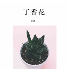 唐磊 - 丁香花