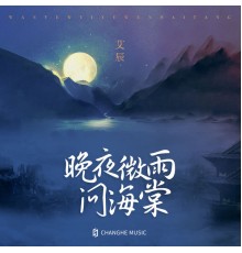 艾辰 - 晚夜微雨问海棠