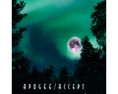 ＡＣＣＥＰＴ - APOGEE