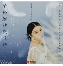 蒋雪儿 - 梦的翅膀受了伤