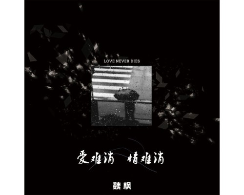 魏枫 - 爱难消情难消