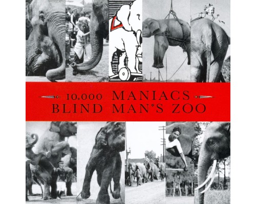 10,000 Maniacs - Blind Man's Zoo