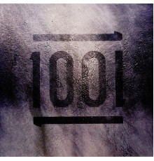 1001 - 1001