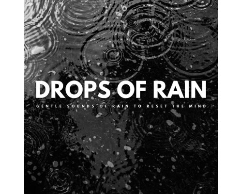 101 Relax, Life Sounds Nature, The Calm Music Network - Drops Of Rain: Gentle Sounds Of Rain To Reset The Mind