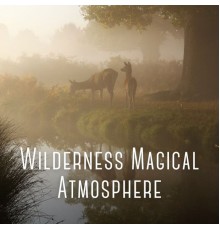 101 Relax, Zen Minds, Relax Assistant - Wilderness Magical Atmosphere