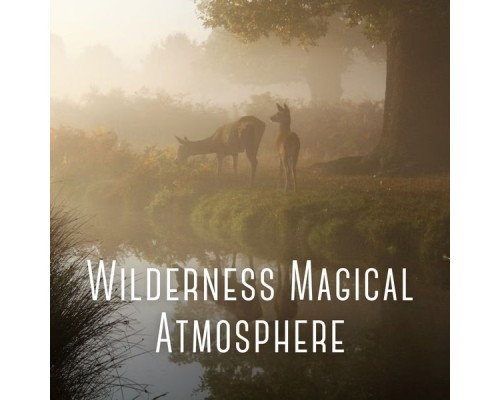 101 Relax, Zen Minds, Relax Assistant - Wilderness Magical Atmosphere