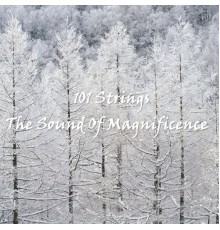 101 Strings - The Sound Of Magnificence
