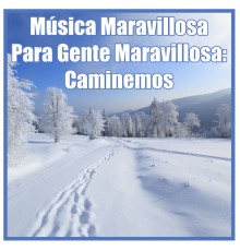 101 Strings - Música Maravillosa para Gente Maravillosa: Caminemos