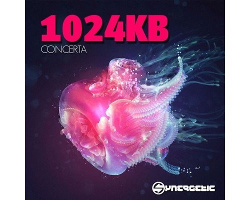1024KB - Concerta