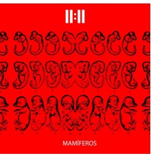 11:11 - Mamíferos