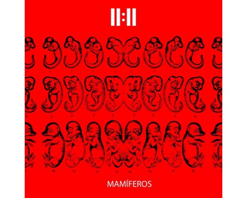 11:11 - Mamíferos