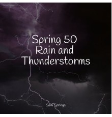 125 Nature Sounds, Calm shores, Ruído branco - Spring 50 Rain and Thunderstorms