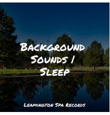 125 Nature Sounds, The White Noise Zen & Meditation Sound Lab, Meditation Relaxation Club - Background Sounds | Sleep