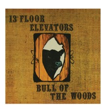 13th Floor Elevators - Bull of the Woods