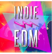 #1 Disco Dance Hits - Indie EDM (Discover Some of the Best EDM, Dance, Dubstep and Electronic Party Music from Upcoming Underground Bands and Artists)