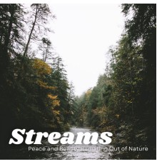 1 Hour Meditation, Yoga, Massage Music Guru - Streams: Peace and Beauty Radiating Out of Nature