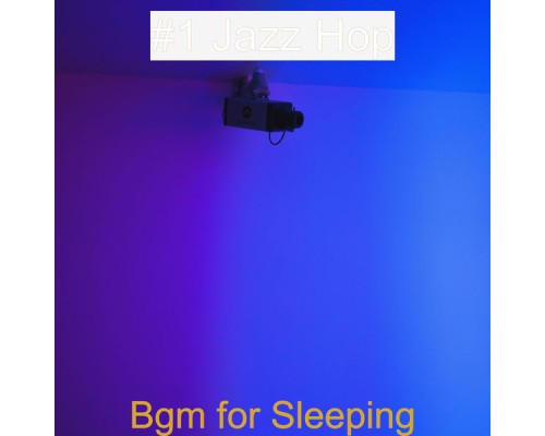 #1 Jazz Hop - Bgm for Sleeping