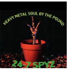 24-7 SPYZ - Heavy Metal Soul by the Pound