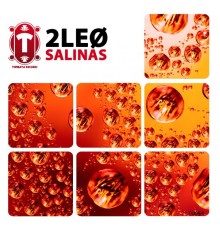 2LEO - Salinas