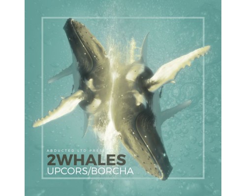 2Whales - UPCORS / BORCHA