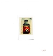 2oo7, Shai Nowell, DivineDevine - Bottles, Coughs, and Red Pandas