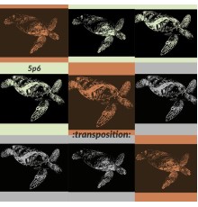 5P6 - Transposition