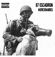 87 Escadron - Mercenaires