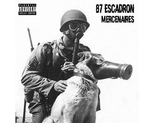 87 Escadron - Mercenaires