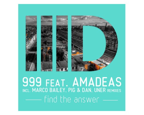 999 & Amadeas - Find the Answer