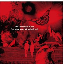 9mm Parabellum Bullet - Supernova / Wanderland