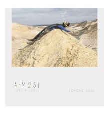 A'mosi Just a Label - Konono Soul