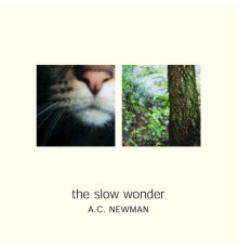 A.C. Newman - The Slow Wonder