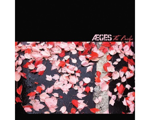 AEGES - The Bridge