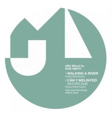 AMJ Collective - Walking a River