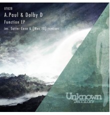 A.Paul & Dolby D - Function EP