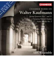 ARC Ensemble, Jamie Kruspe, Kimberly Jeong - Kaufmann: Chamber Works
