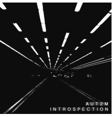 AUT2M - Introspection