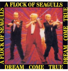 A Flock Of Seagulls - Dream Come True