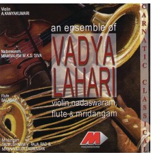 A. Kanyakumari - An Ensemble of Violin, Nadaswaram, Flute & Mridangam