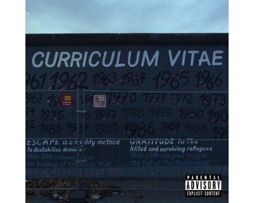 A. Nayaka - Curriculum Vitae