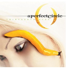 A Perfect Circle - Thirteenth Step