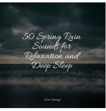 A Sudden Rainstorm, nature & Sounds Background, Nature Recordings - 50 Spring Rain Sounds for Relaxation and Deep Sleep