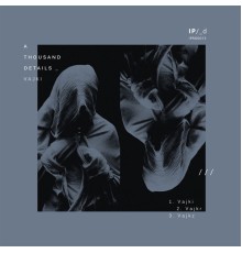 A Thousand Details - Vajki EP