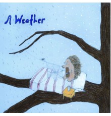 A Weather - Feather Test