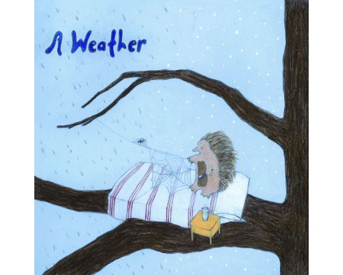 A Weather - Feather Test