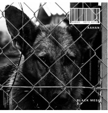 Aahan - BLACK MESA E.P